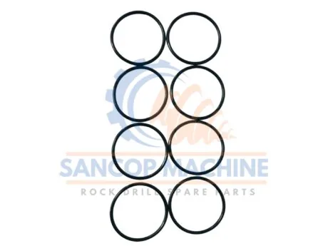 0663 2135 00 O RING