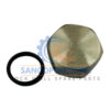 3115 2617 10 PLUG